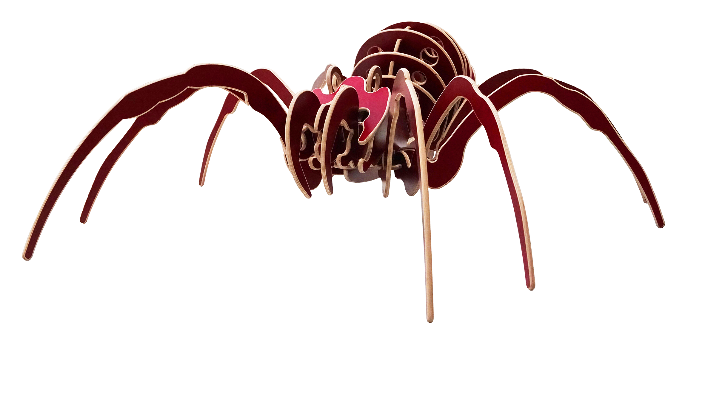 Araignee 3d petit