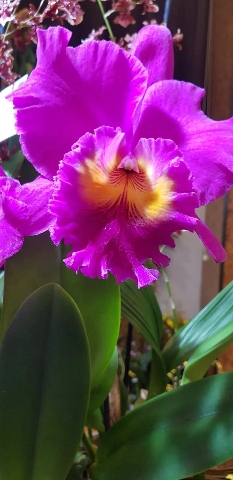 Media share 0 02 0a d61214f7ee0708943eff5ae77e4e3e705b8cf46c3935a0153455f85f42aa2715 e35a2c7d 830d 4f75 b7be 86dbb9ae518e