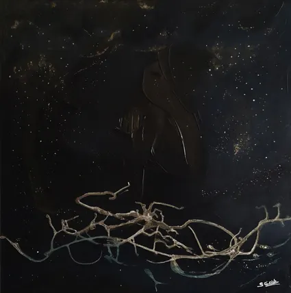 Nuit étoilée