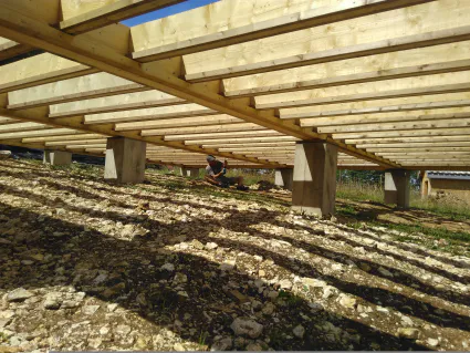 Img 20200706 115229 1