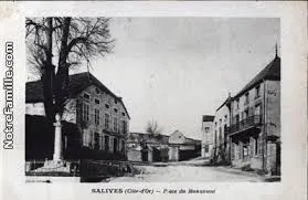 Images 3