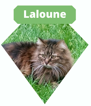 Laloune-Paint