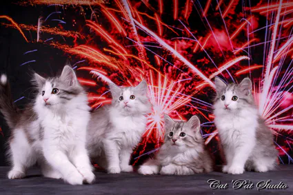 109674821 10207313758440188 4925169301078307077 o