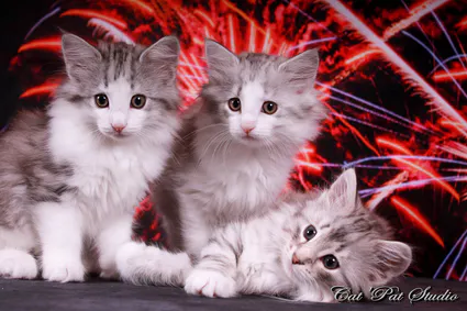 109680725 10207313758760196 7554605821963437188 o