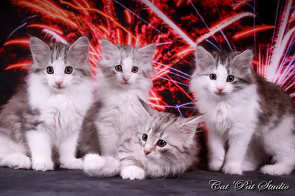 109716184 10207313759600217 3422523292988303939 o