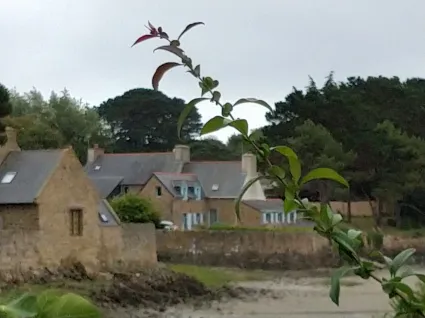 Img 20200716 134226 1