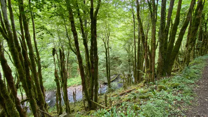 Photo 2020 06 21 16 14 31