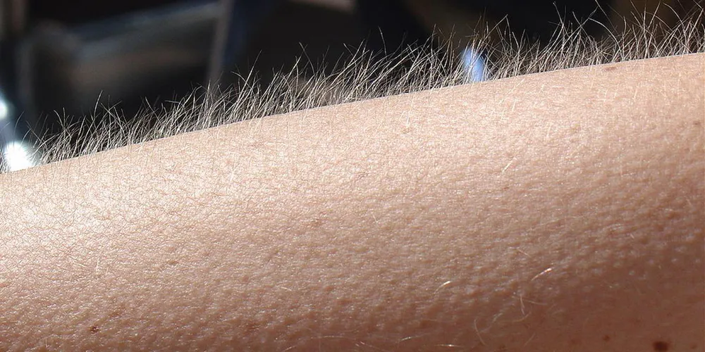 Émotions / Sentiments / Ressentis. Mais enfin, de quoi parle-t-on ?