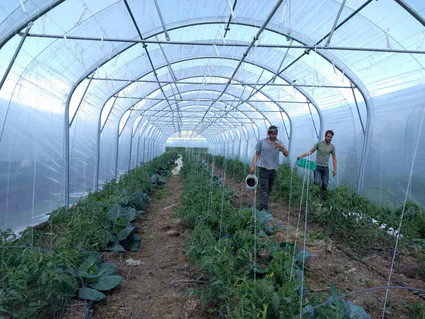 31543426 2170222199872270 4380156305868849152 o