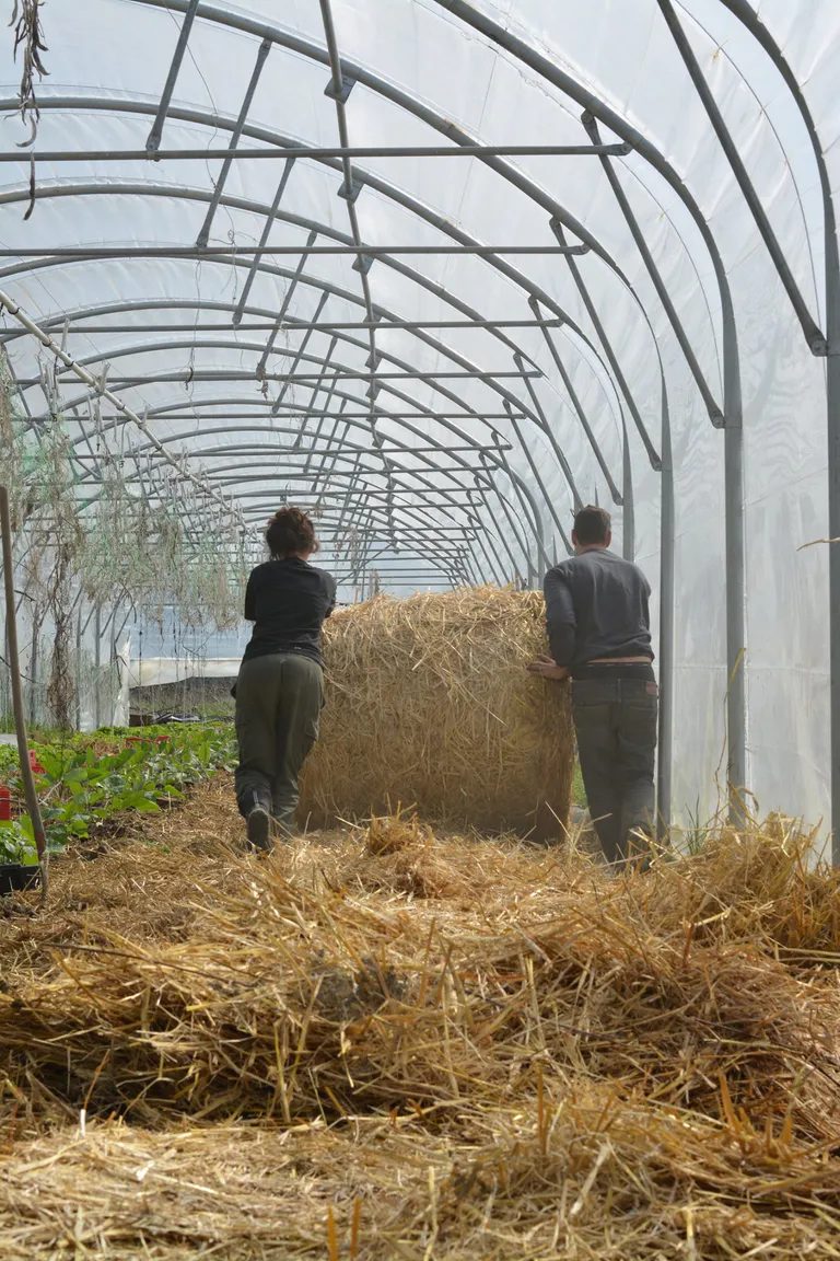 96521146 2736047553289729 5578290317020364800 o