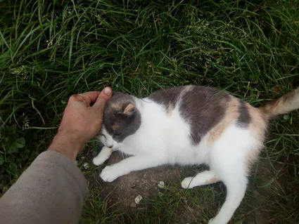 13124641 1812361928991634 9019079335124264531 n