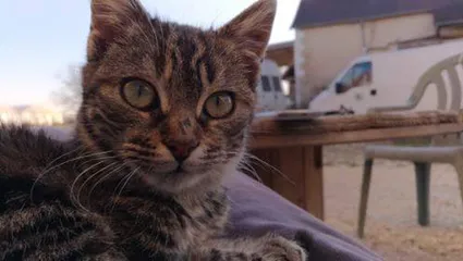 53532429 2387981901429631 5172121423115714560 n