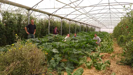 72257951 2536441523250334 3274813903506243584 n