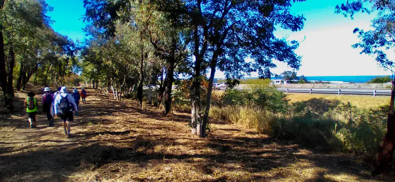20200808 095311