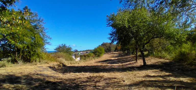 20200808 095729