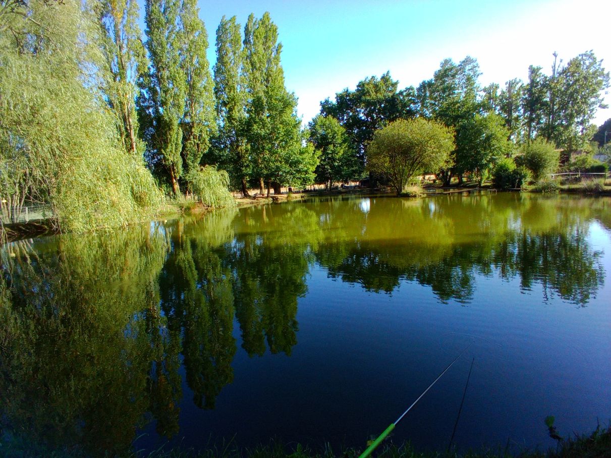 notre étang où vous pourrez pêcher (avec votre propre matériel) ou faire de la barque