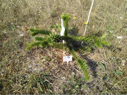 Img 20200913 112005 1