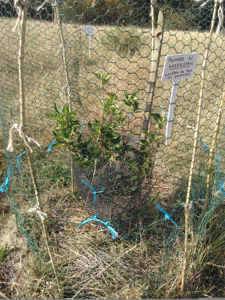 Img 20200913 112117 1