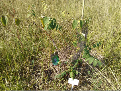 Img 20200913 112739 1