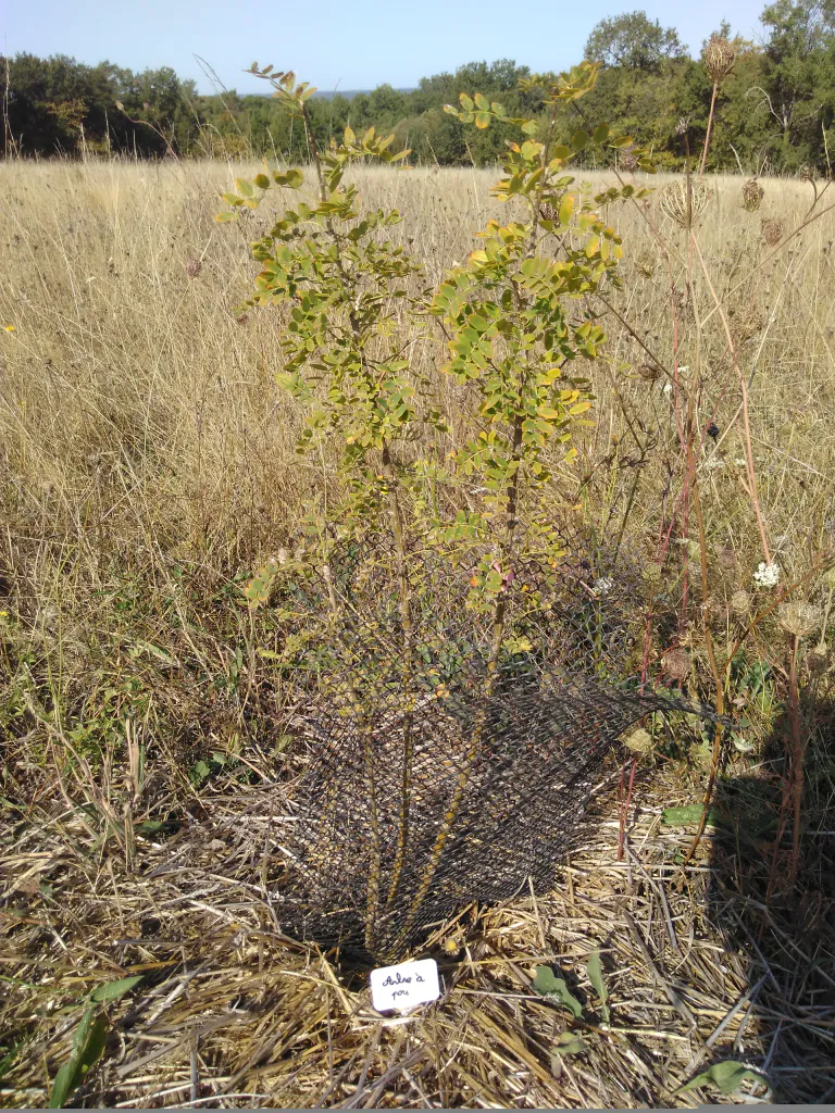 Img 20200913 113313 1