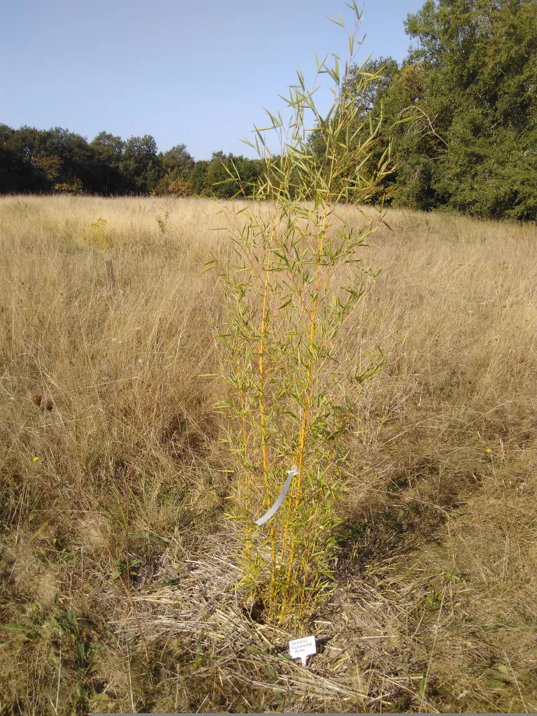 Img 20200913 113539 1