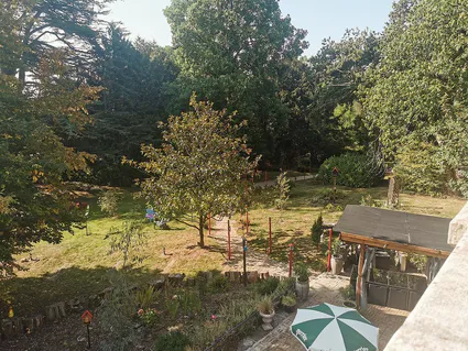 Img 20200914 110652 8