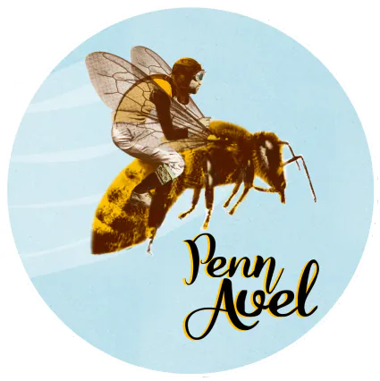 Logo penn avel 10x10