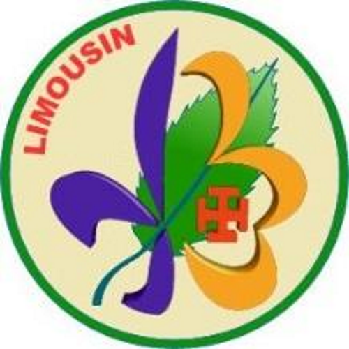 Insigne-territoire-1-