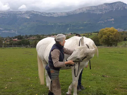 Received 1168976680170128