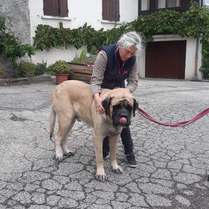 Received 3595837390468897