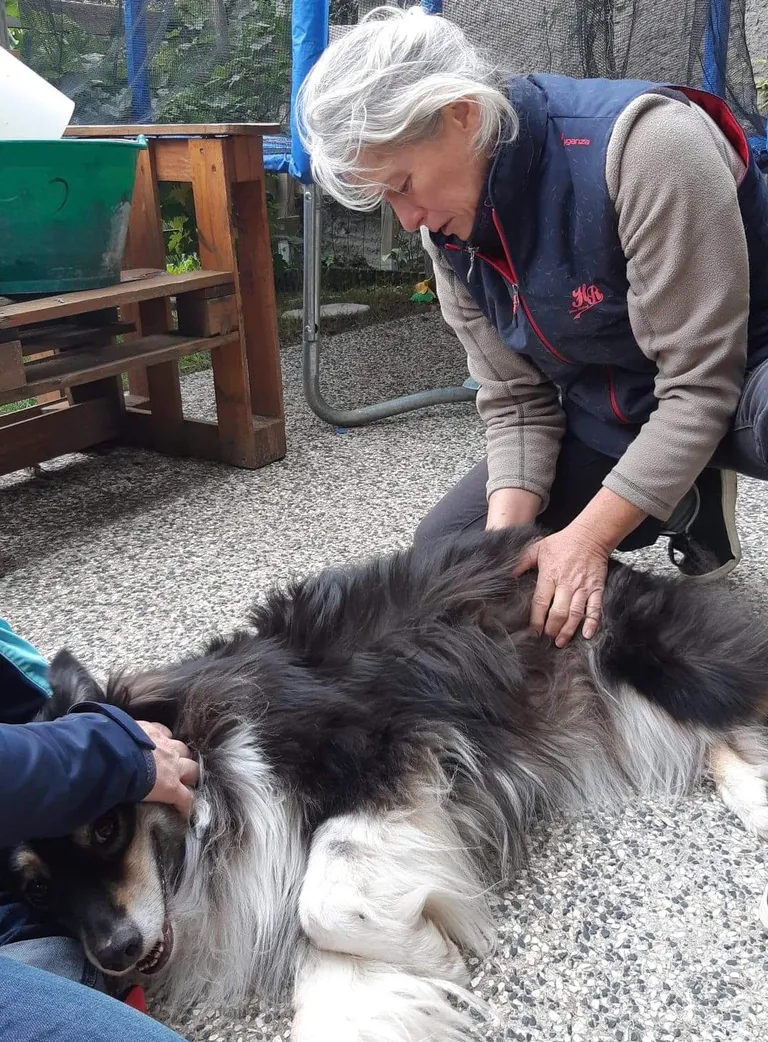 Received 352885329264275