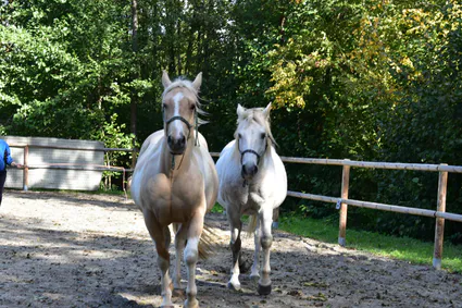 121360302 1263288857359280 6993661012219461648 n