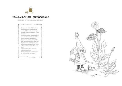 06012020apercu livre a4ferme a3ouvert 64p31
