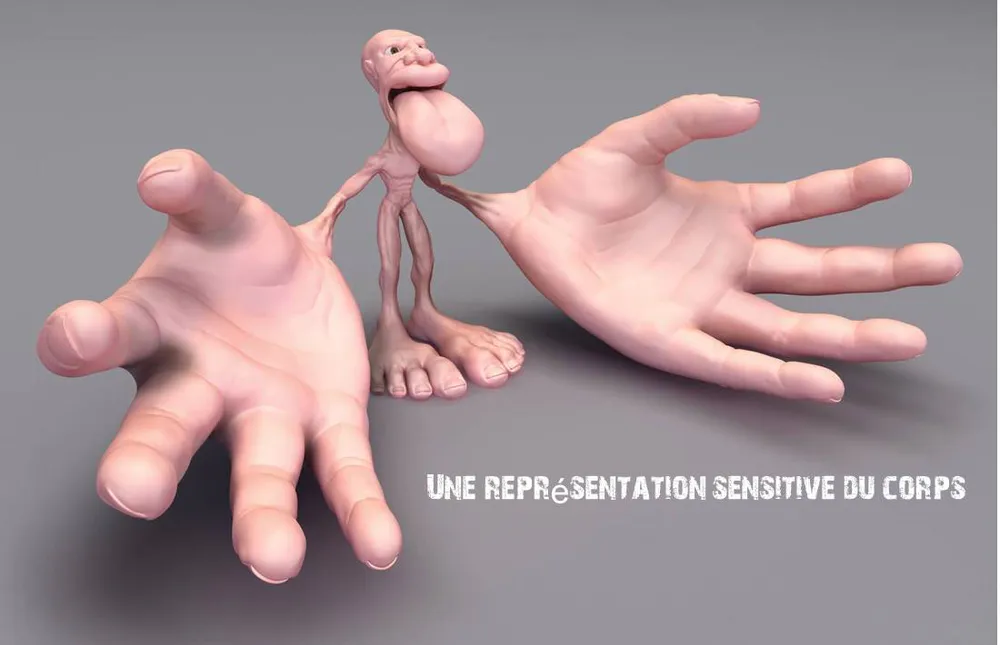 Une représentation sensitive du corps