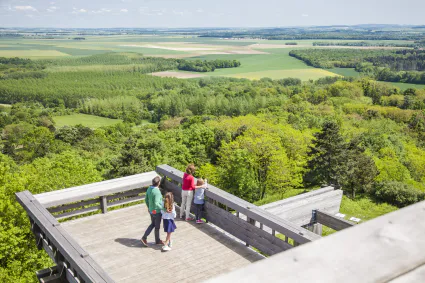 La tour observatoire du plateau de californie a craonne min