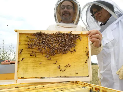 118876337 135325284937308 8663280492824490758 n