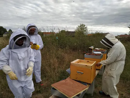 119003446 135325211603982 210858156772209269 n