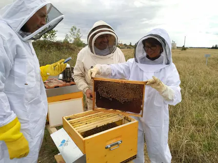 119031133 135325261603977 5574574899686908009 n