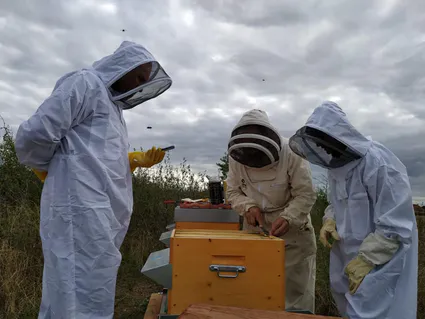 119033649 135325251603978 6803907948327773646 n