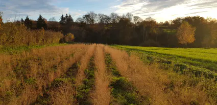 20201111 165507