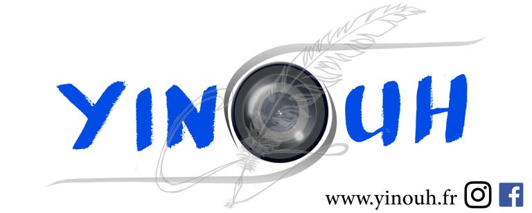 Logo final fusionne yinouh site et rs filigrane