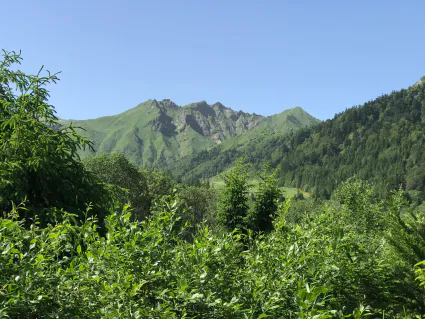Photo la musardiere 12