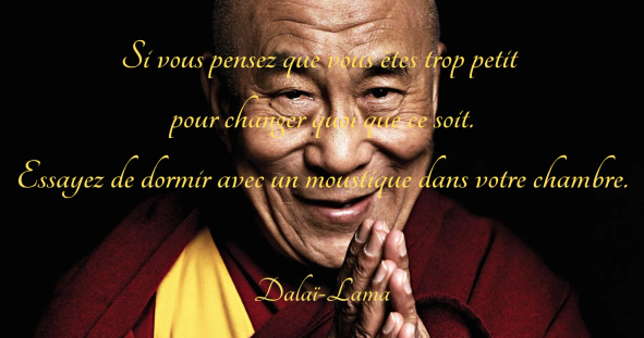 citation dalai lama, citation vocation, citation dalai lama moustique
