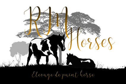 Logo-rm-horses-2