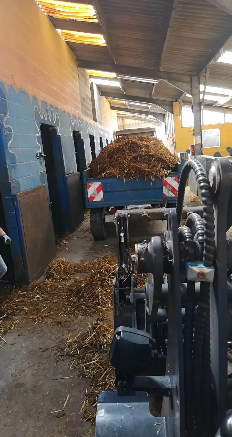 Received 613579626231759