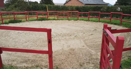 Received 601563910538021