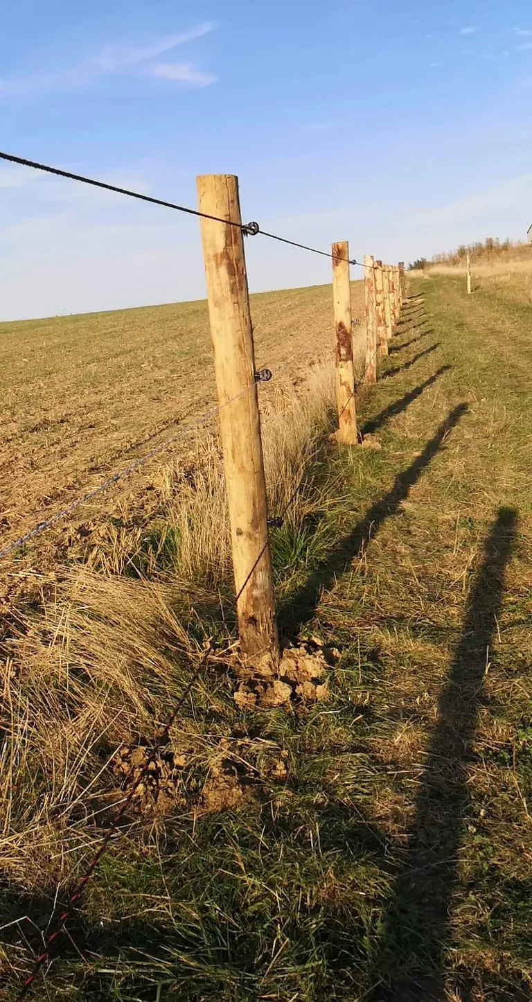 Received 4623978230976097