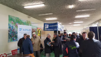 SALON DES ÉTALONS 11 JANVIER 2020