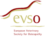 Logo-evso