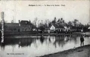 Photos greges